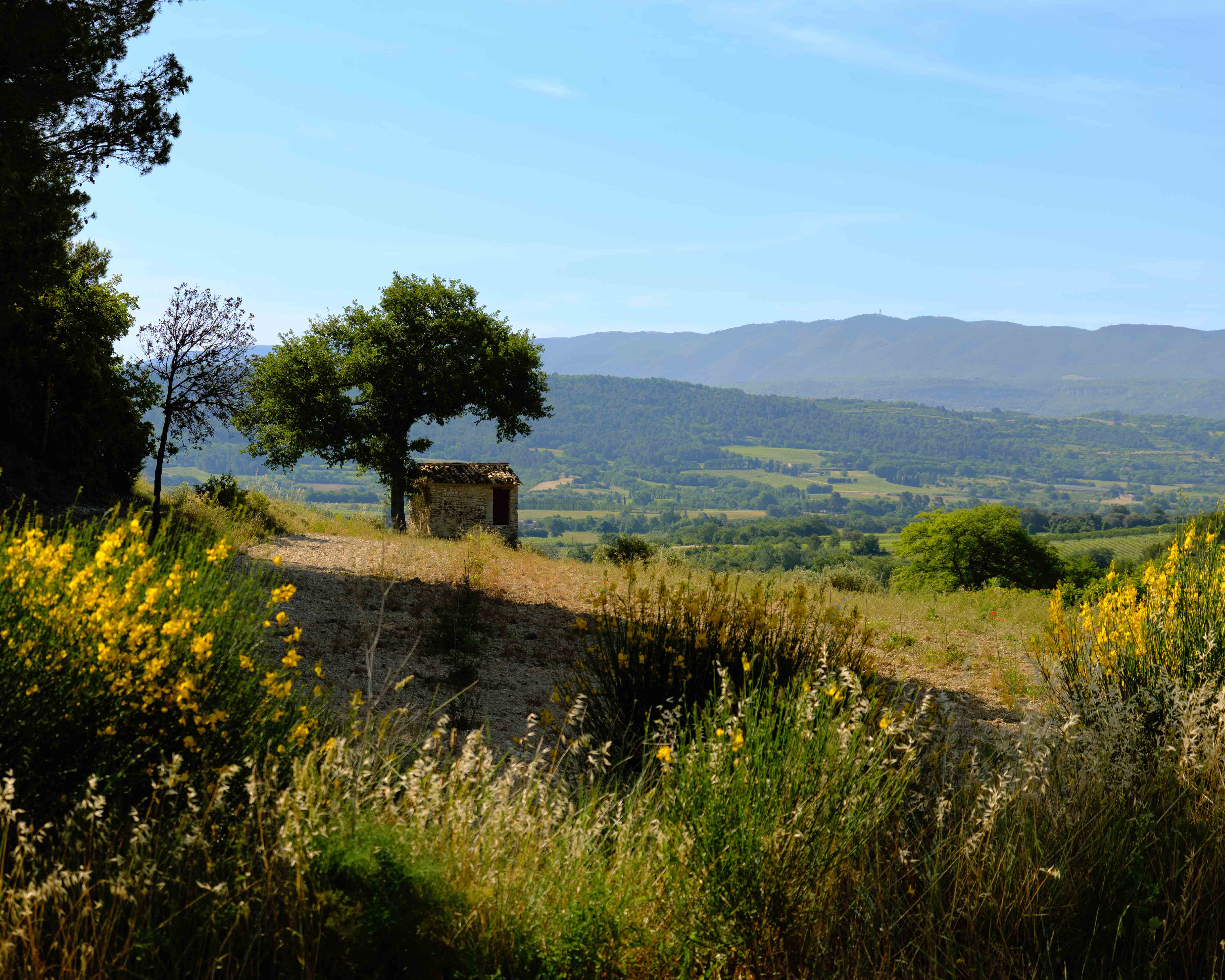 Hero placeholder image for Francisco Lobaton portfolio